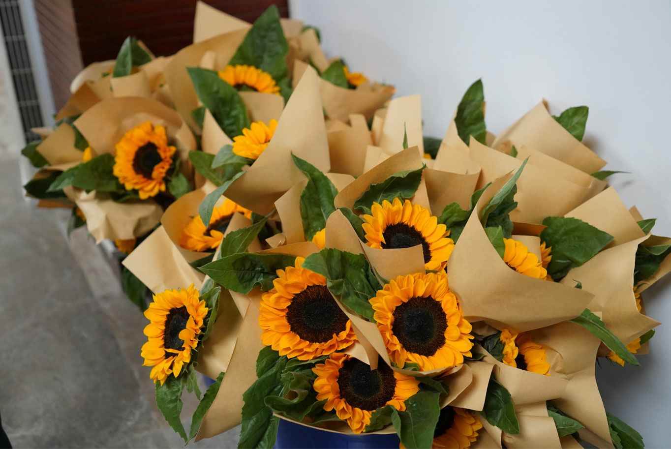 1630400208739038.jpg 1630400208739038.jpg